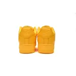 Nike Air Force 1 Low '07 Pro-Tech Waterproof University Gold FB8875-700
