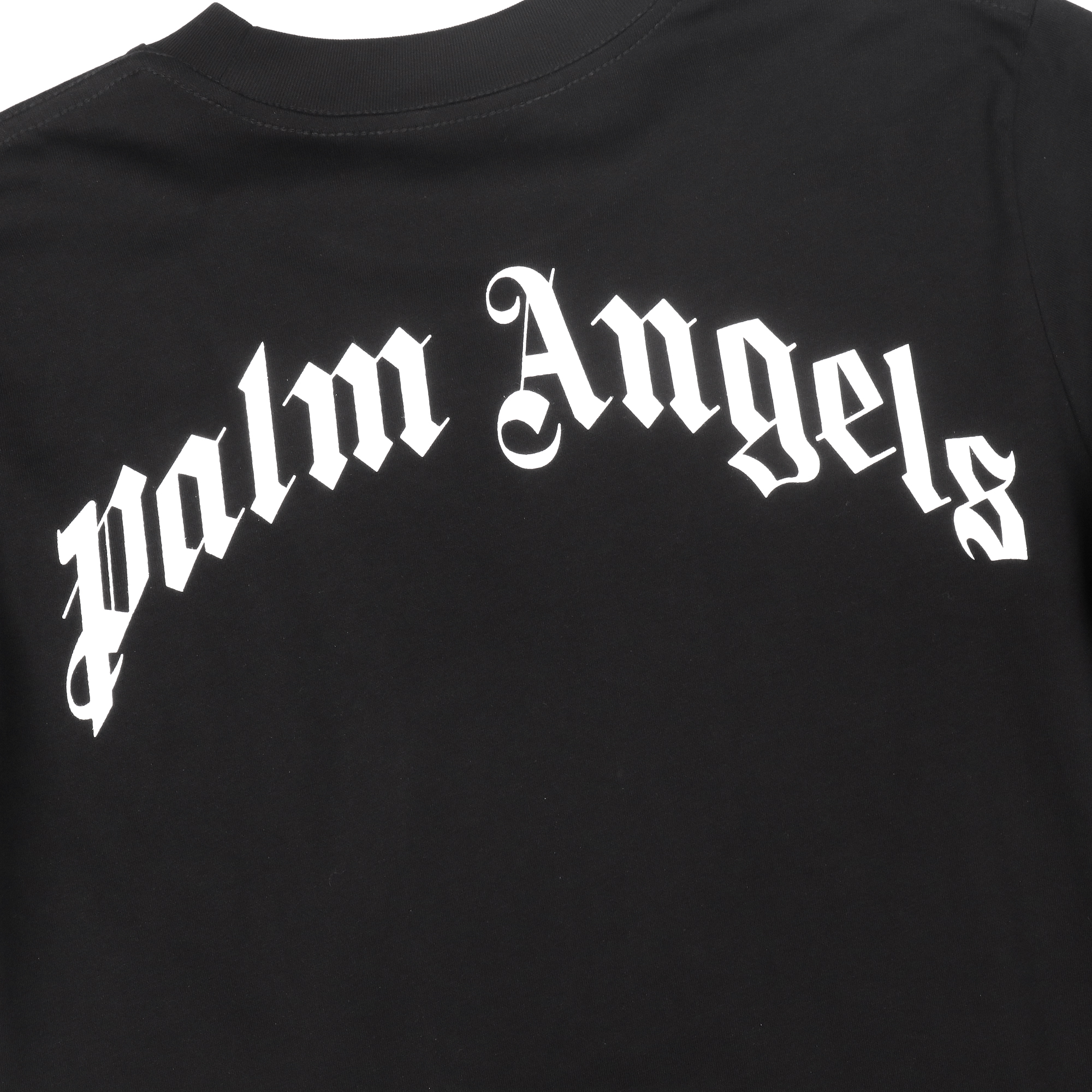 Palm Angles T-Shirt  2211