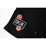 Dior Shorts  203479