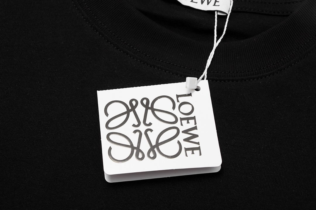 Loewe T-Shirt  199438