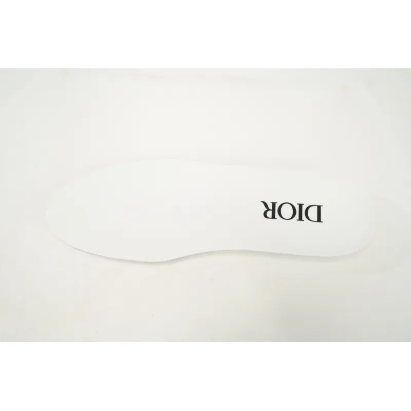  Dior B23 HT Oblique Low Rank Silver Gray  3SN272ZIR 16536