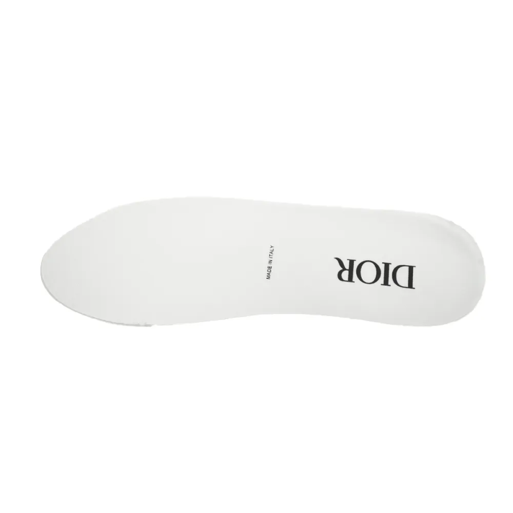 Dior B22 White Blue 3SN231YXX_H865