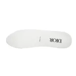 Dior B22 White Blue 3SN231YXX_H865