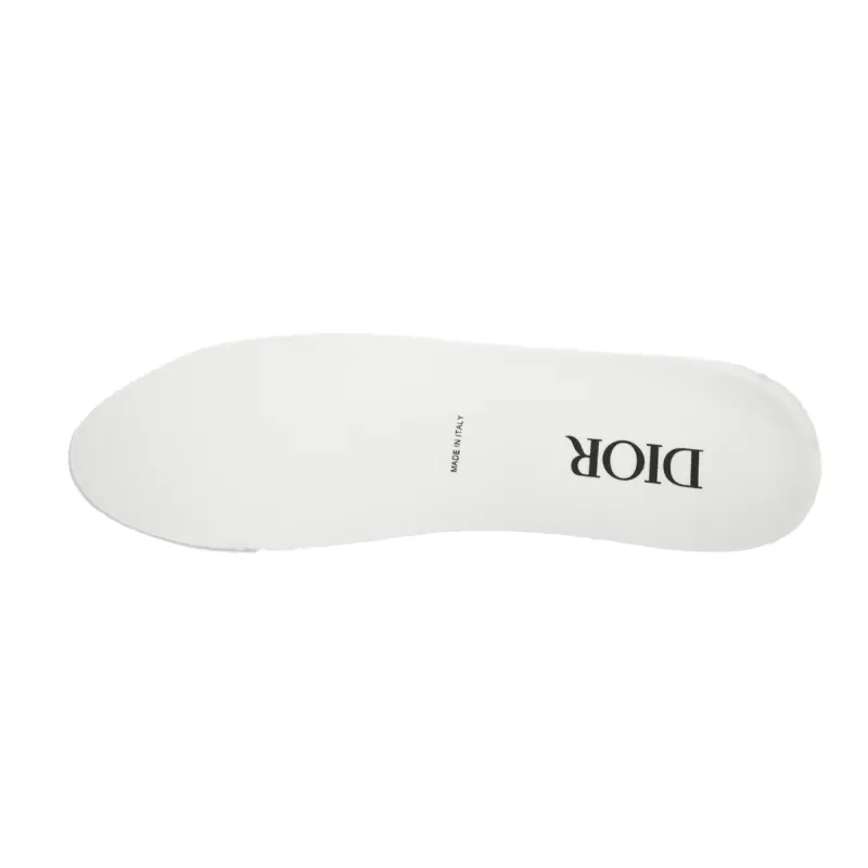 Dior B22 White Blue 3SN231YXX_H865