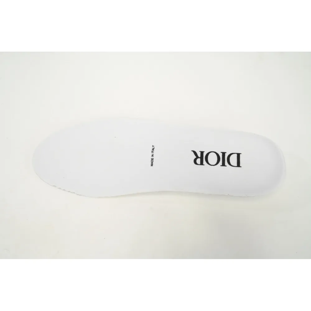 Dior B23 Low Black White Oblique 3SN272ZIR 16536