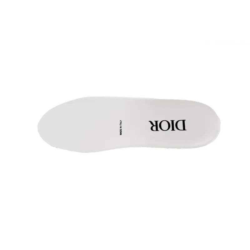 Dior B23 Low Top Daniel Asham Newspaper 3SN249YUO_H069