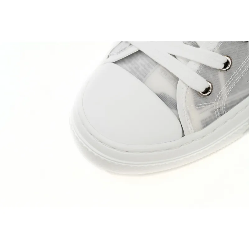 Dior B23 Low Top Daniel Asham Newspaper 3SN249YUO_H069