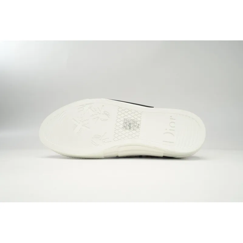 Dior B23 Low Top Red Blue Oblique 3SN249YTG_H563