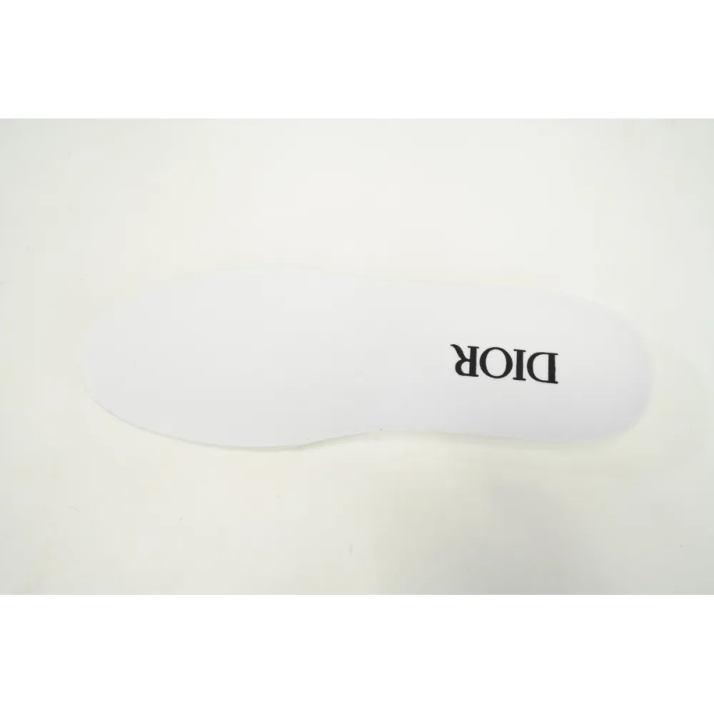 Dior B23 Low White Navy Oblique 3SN249YNT_H568