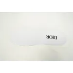 Dior B23 Low White Navy Oblique 3SN249YNT_H568