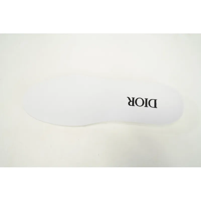 Dior B23 Low White Navy Oblique 3SN249YNT_H568