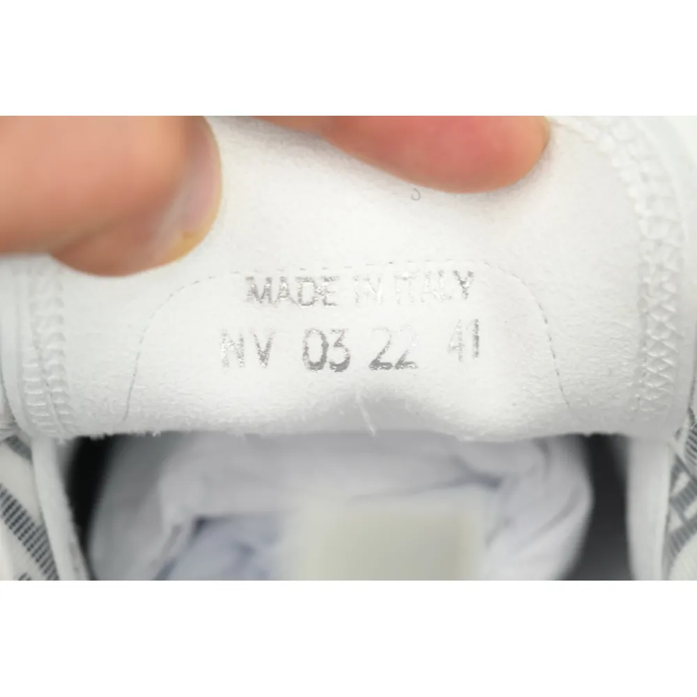 Dior B23 Low White Navy Oblique 3SN249YNT_H568
