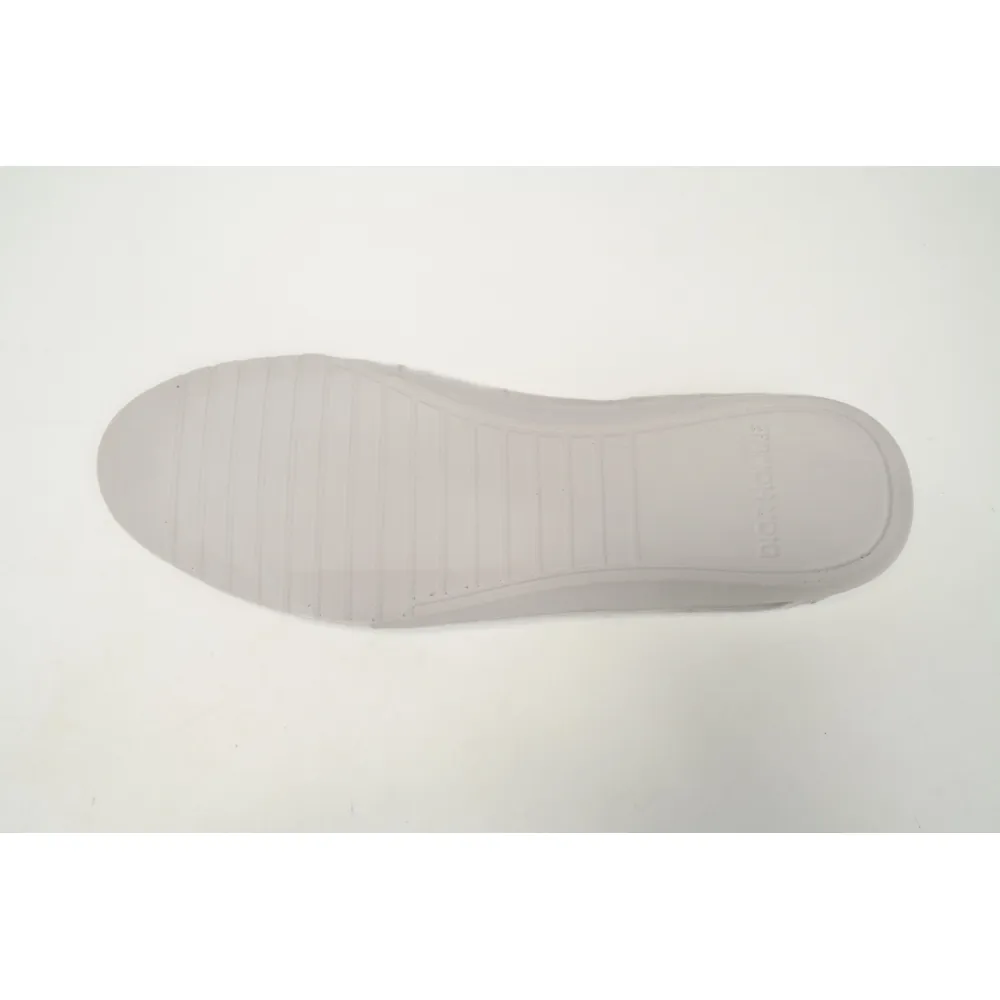  Dior B23 HT Oblique Transparency High White Blue Gray  3SN272ZIR 16536