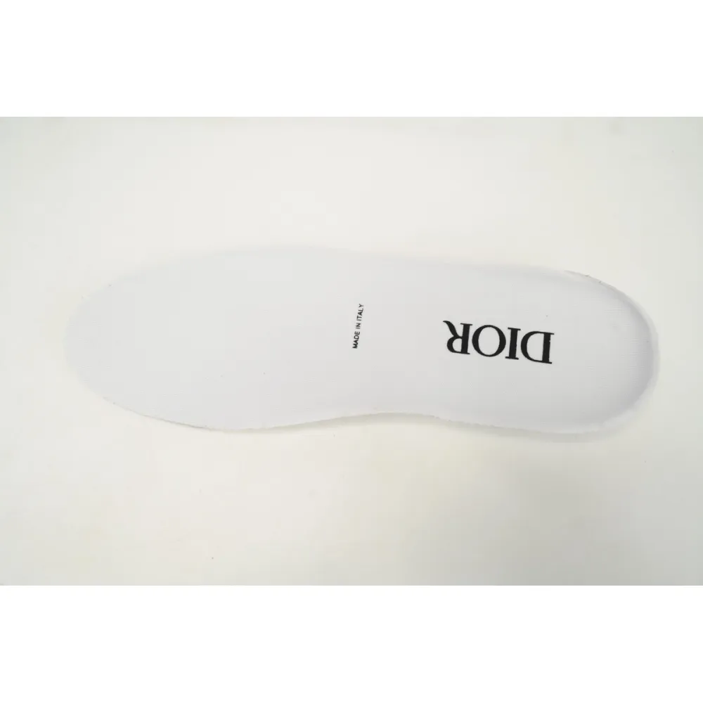  Dior B23 HT Oblique Transparency High White Blue Gray  3SN272ZIR 16536