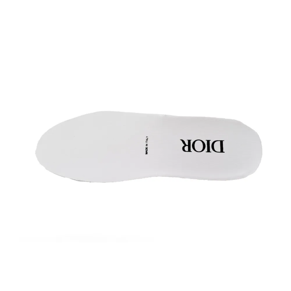  Dior B23 Low Top Logo Oblique 3SN249YJP_H069