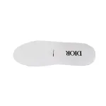  Dior B23 Low Top Logo Oblique 3SN249YJP_H069