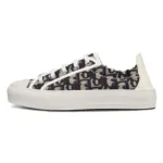 Dior  Oblique Black Embroidered 