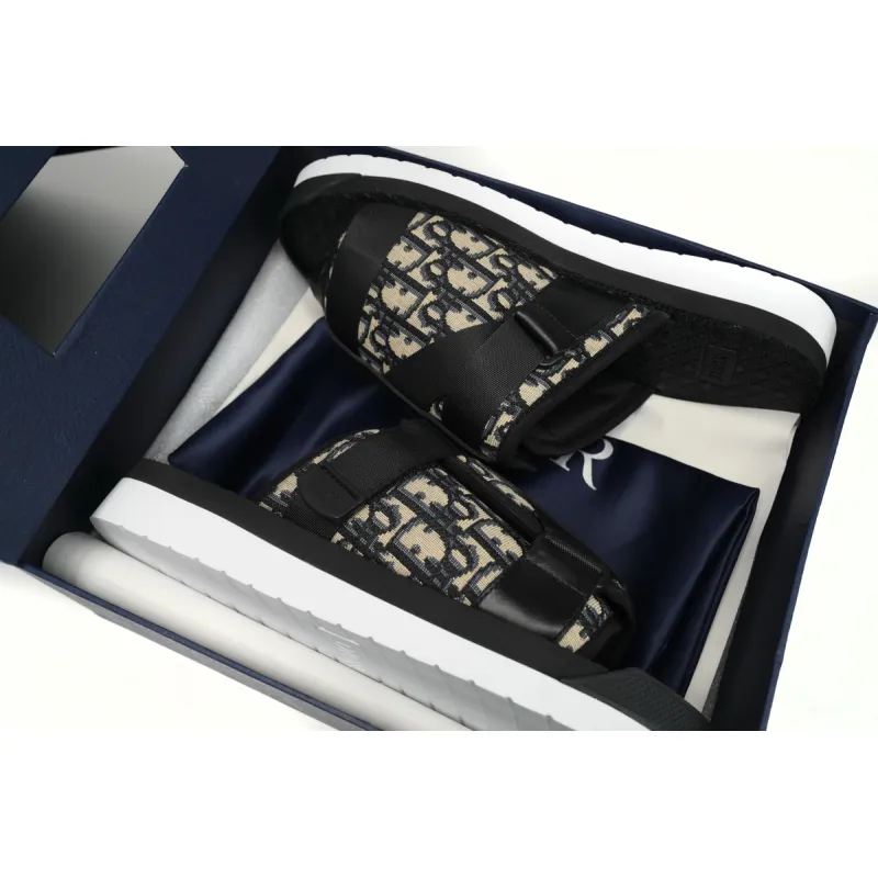 Dior Alpha Sandal Oblique 3SA081YXV_H961