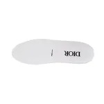 Dior B23 High White Oblique  3SH118YYO T00853H960 