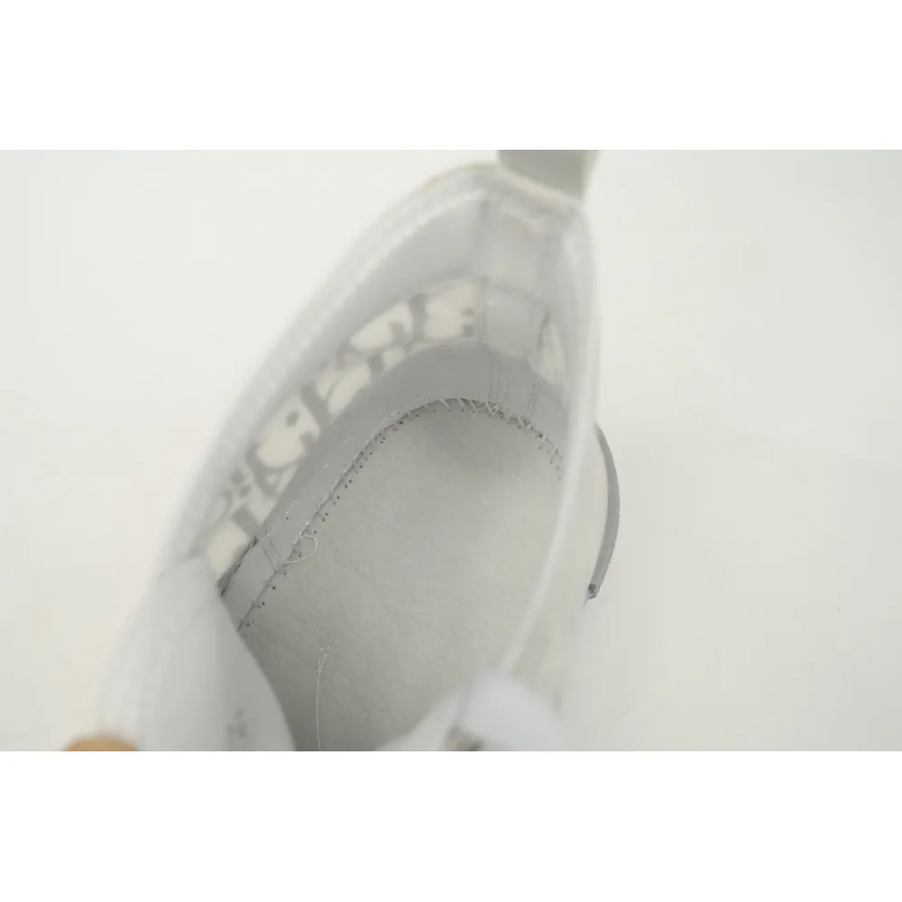 Dior B23 HT Oblique Transparency High Silver Ash  3SN272ZIR 16536