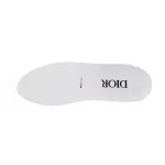 Dior B23 Low Top Blue Oblique 3SN249YNT_H565