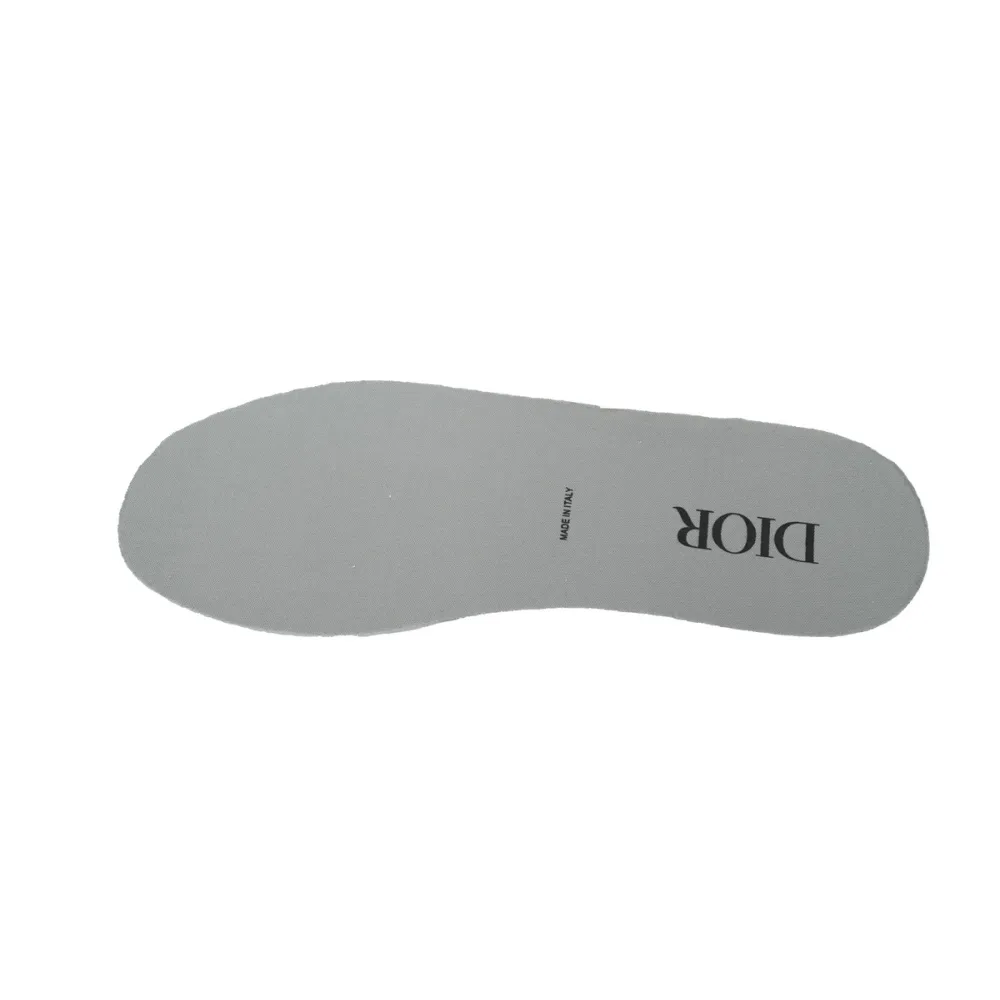 Dior B27 High Gray White 3SH132ZIR_H165