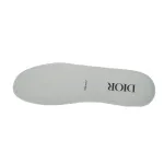 Dior B27 High White Gray