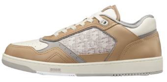 Dior B27 Low Grey Beige