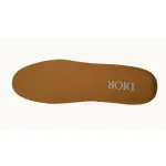 Dior B33 Sneaker Brown Cream Oblique Jacquard 3SN303ZWN_H781