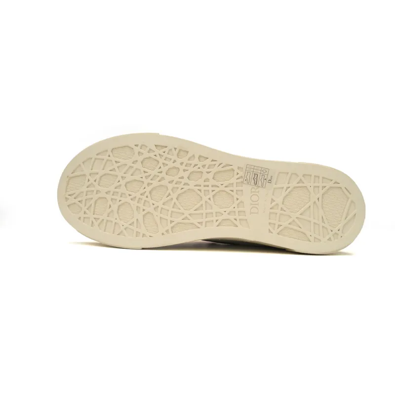 Dior B33 Sneaker Grey White Oblique Jacquard 3SN303ZWN_H858