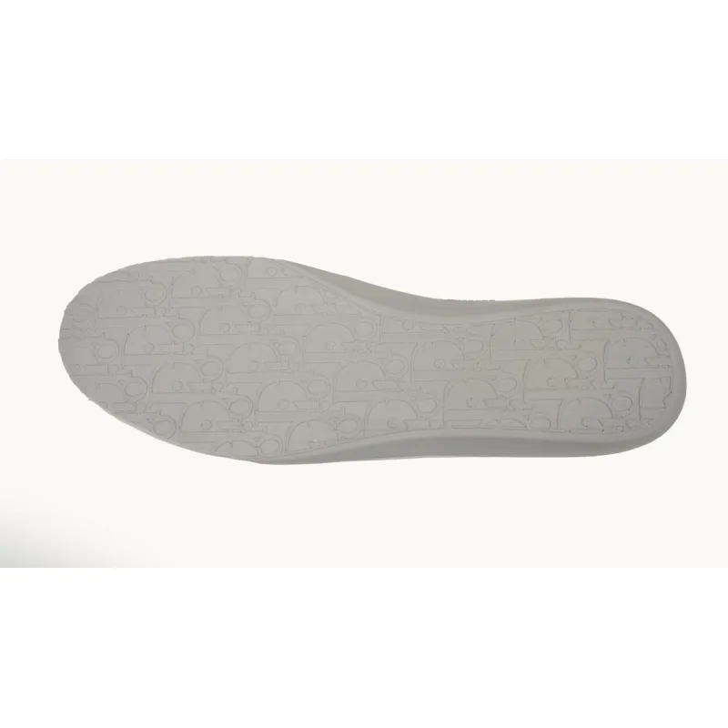 Dior B33 Sneaker Khaki Smooth Calfskin Oblique Raised Embroidery (Numbered) 3SN303ZYQ_H681