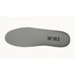 Dior B33 Sneaker Khaki Smooth Calfskin Oblique Raised Embroidery (Numbered) 3SN303ZYQ_H681