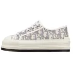 Dior Grey