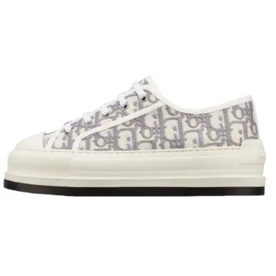 Dior Grey 01