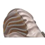 Crocs Pollex Clog by Salehe Bembury Menemsha 207393-195