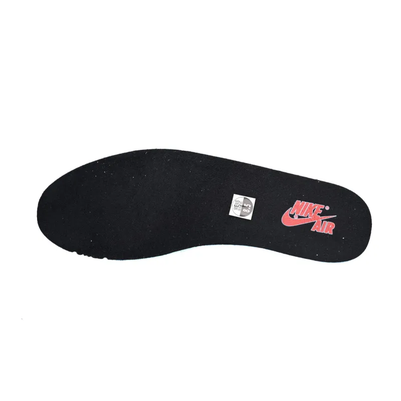 Air Jordan 1 Retro High Bred Toe 555088-610