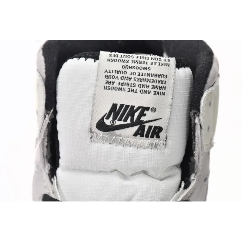 Air Jordan 1 Retro High Element Gore-Tex Light Bone  DB2889-100