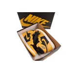 Air Jordan 1 Retro High Pollen 555088-701