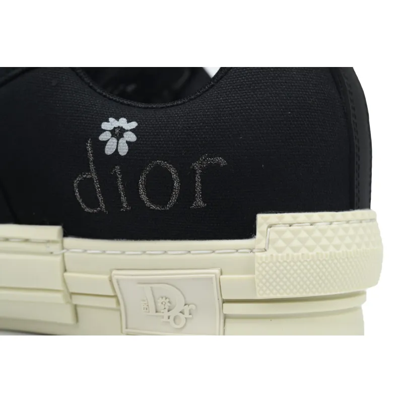 Dior B23 Skater Low Top ERL Black Cotton Canvas 3SN292ZWC_H968