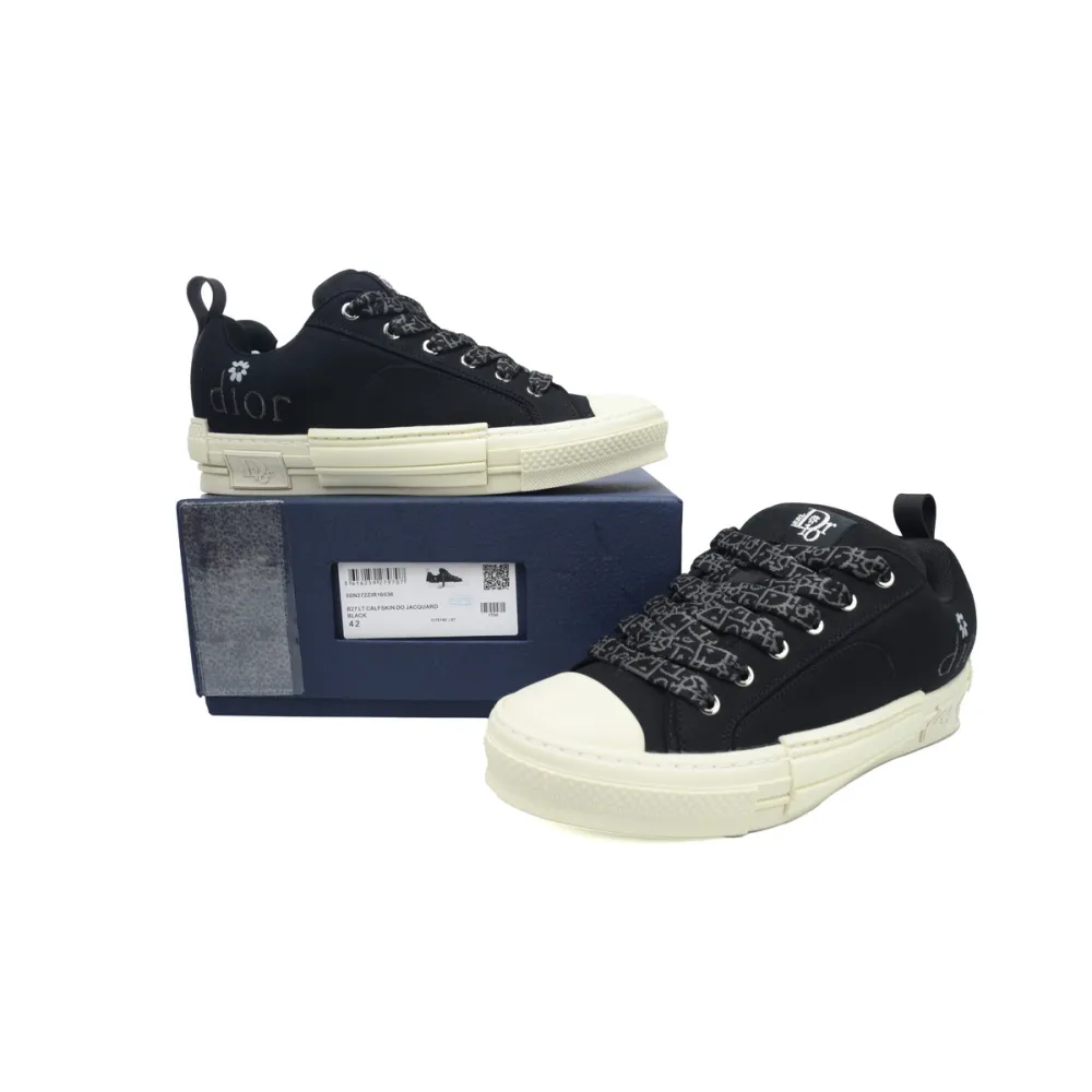 Dior B23 Skater Low Top ERL Black Cotton Canvas 3SN292ZWC_H968