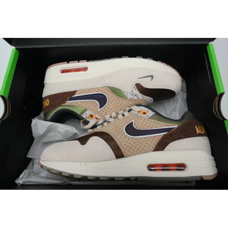 Nike Air Max 1 '87 Premium University of Oregon PE (2024)  HQ2640-200