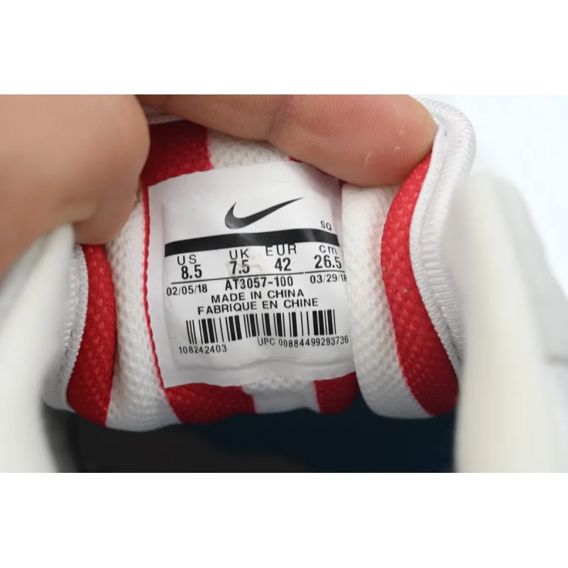 Nike Air Max 1 Parra (2018)  AT3057-100