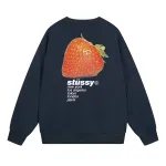  Stussy Sweatshirt SS32
