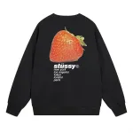  Stussy Sweatshirt SS32