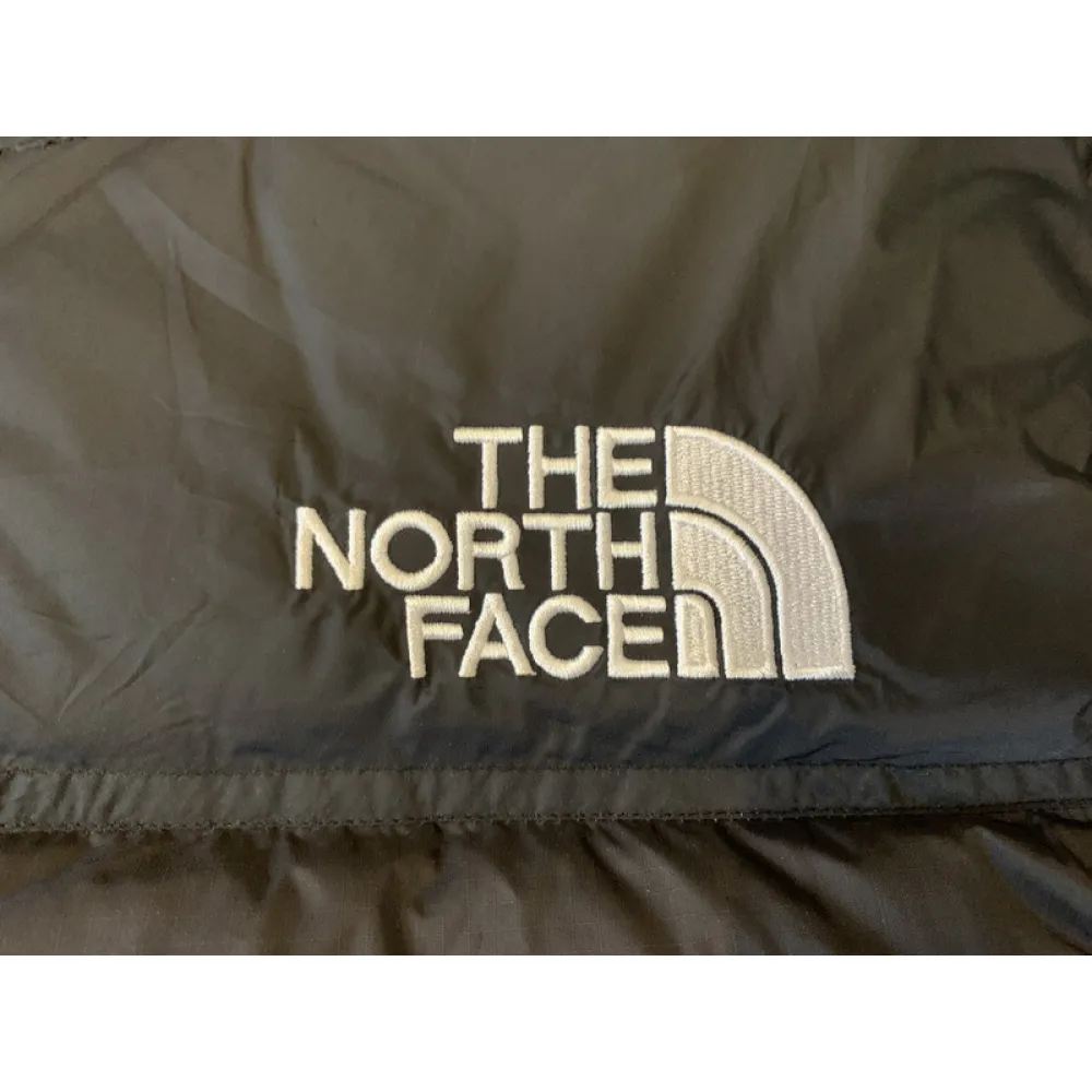 The North Face All Black Down Jacket