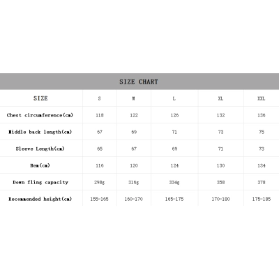 The North Face Black Down Jacket 02