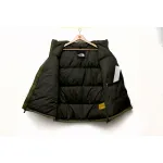 The North Face Dark Green