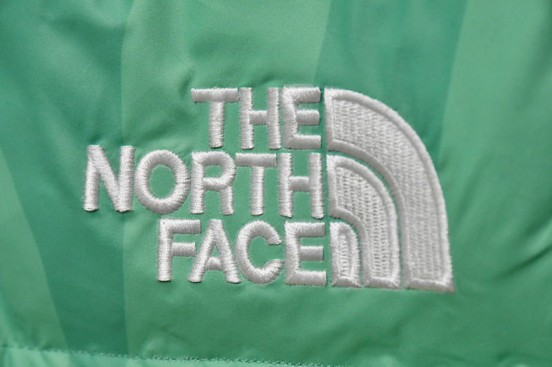 The North Face Green Camou Flage