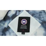 Canada Goose Outdoor Sports Down Vest Glacier White BA7BN