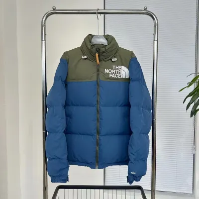 The North Face Blue-Gr Down Jacket 01